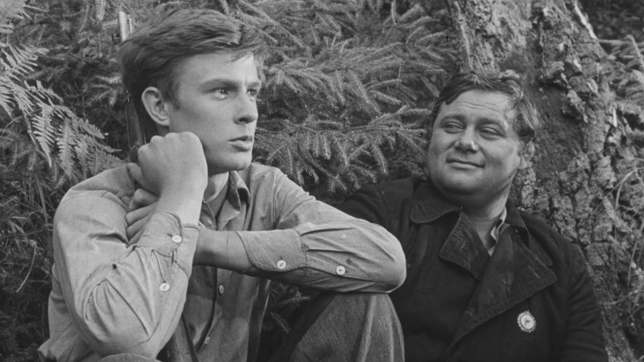 Сыновья ухо�дят в бой