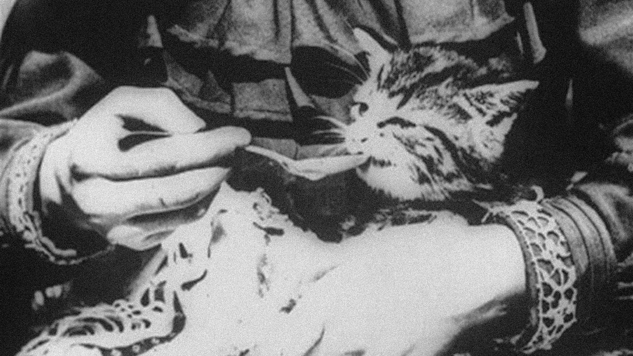 Больной котёнок