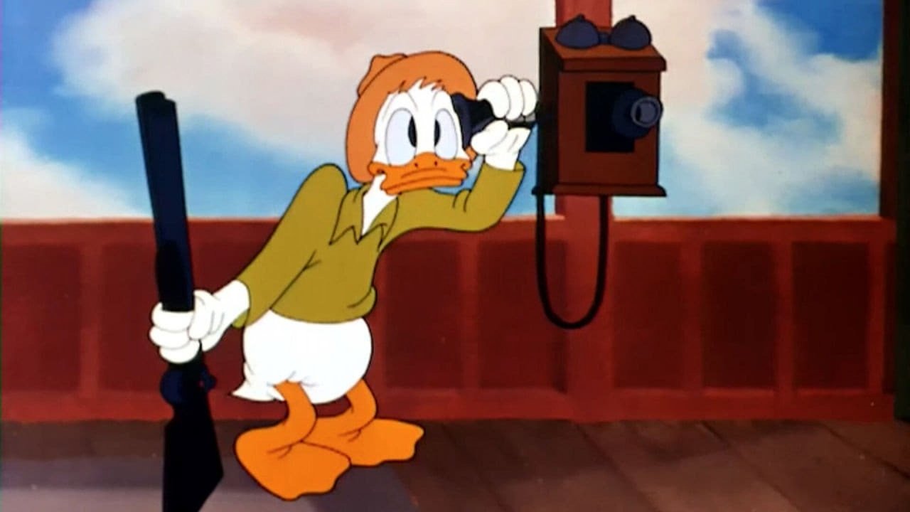 Старая секвойя