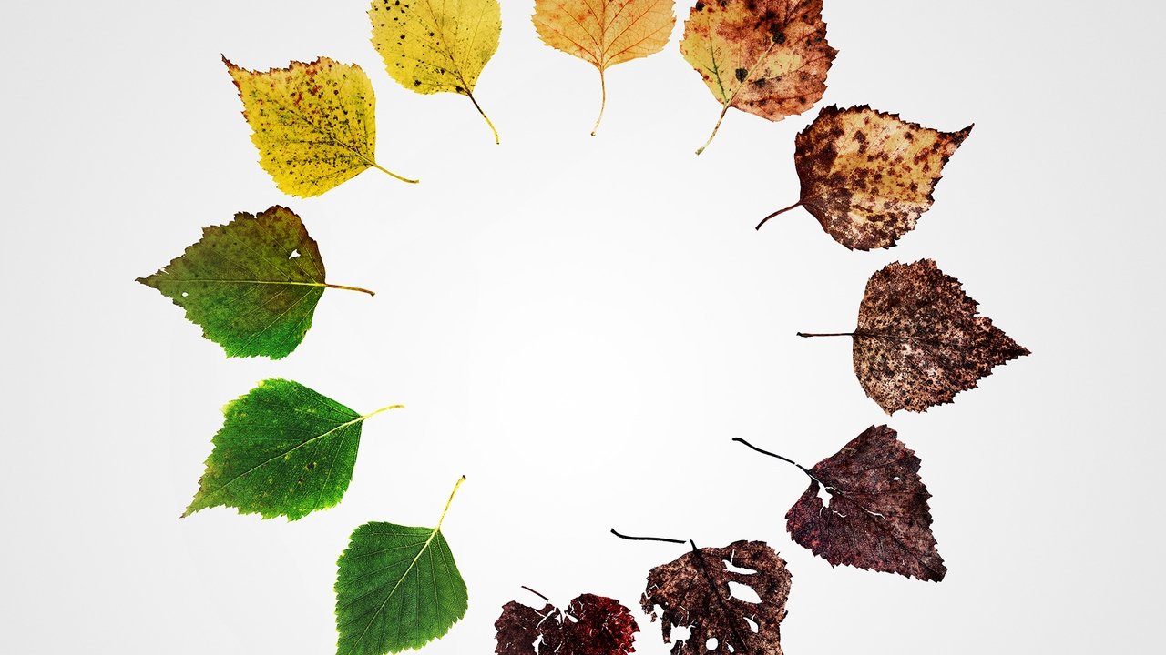 Альтернативные концовки: Шесть новых способов умереть в Америке