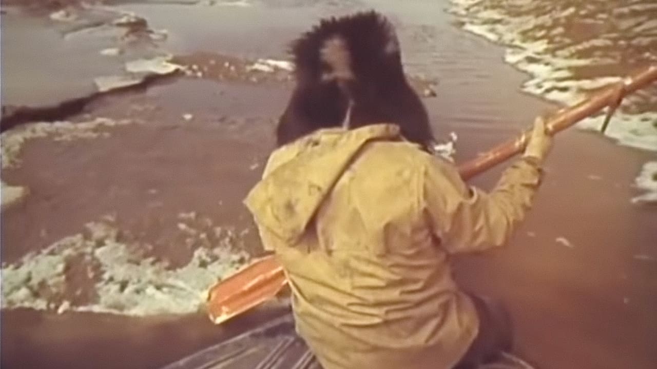 Госпожа Тундра