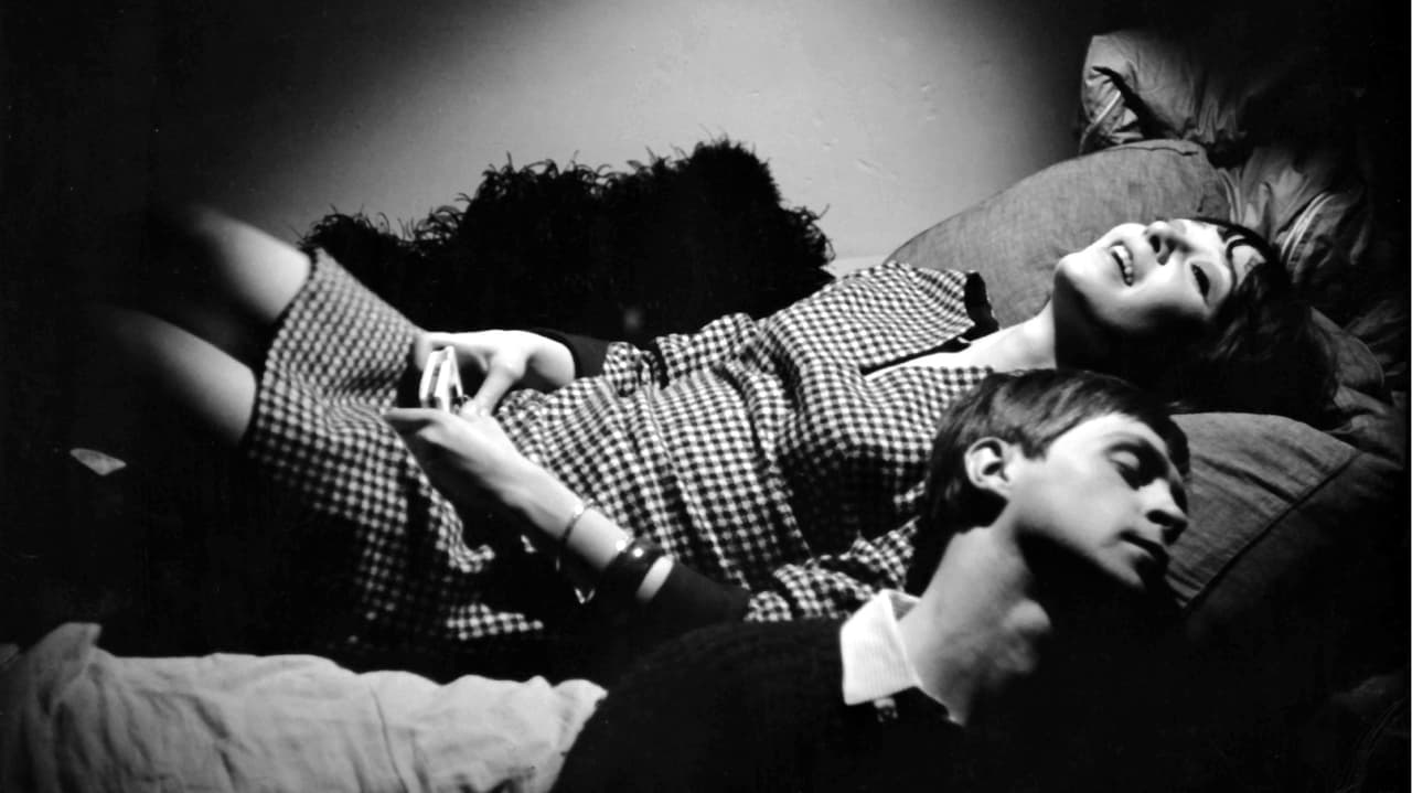 Кот в мешке