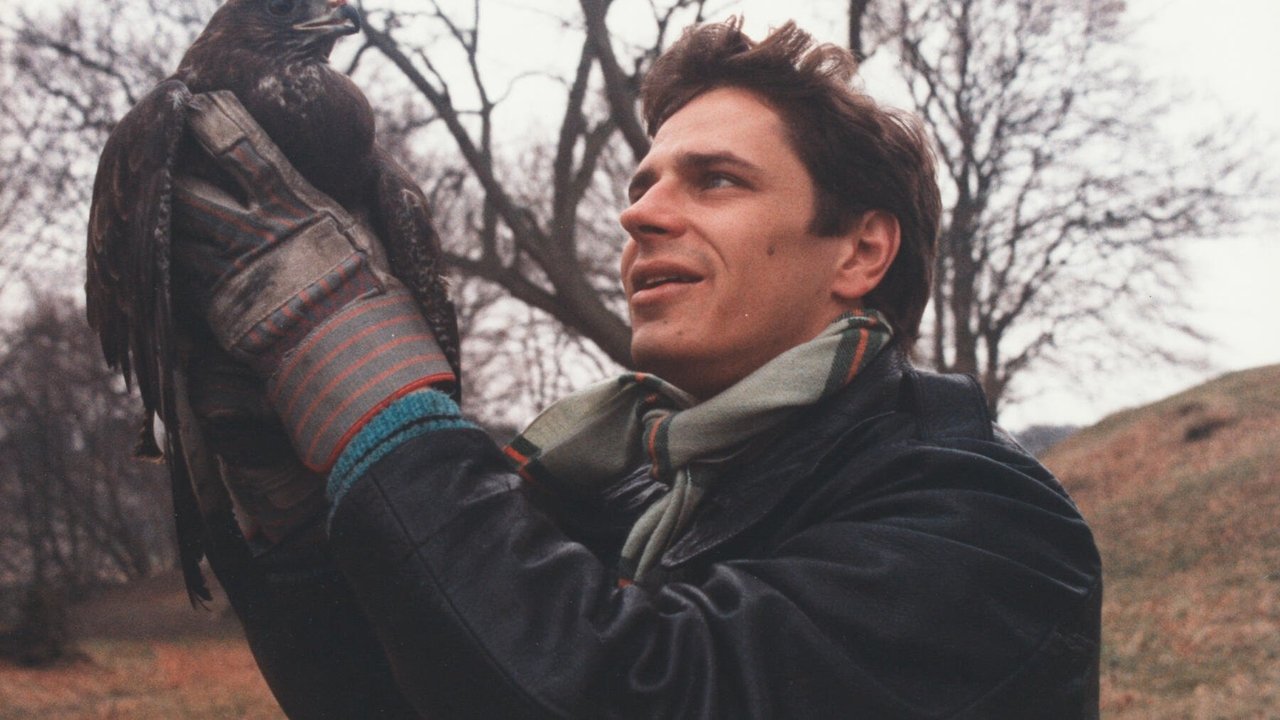 Ледяные птицы