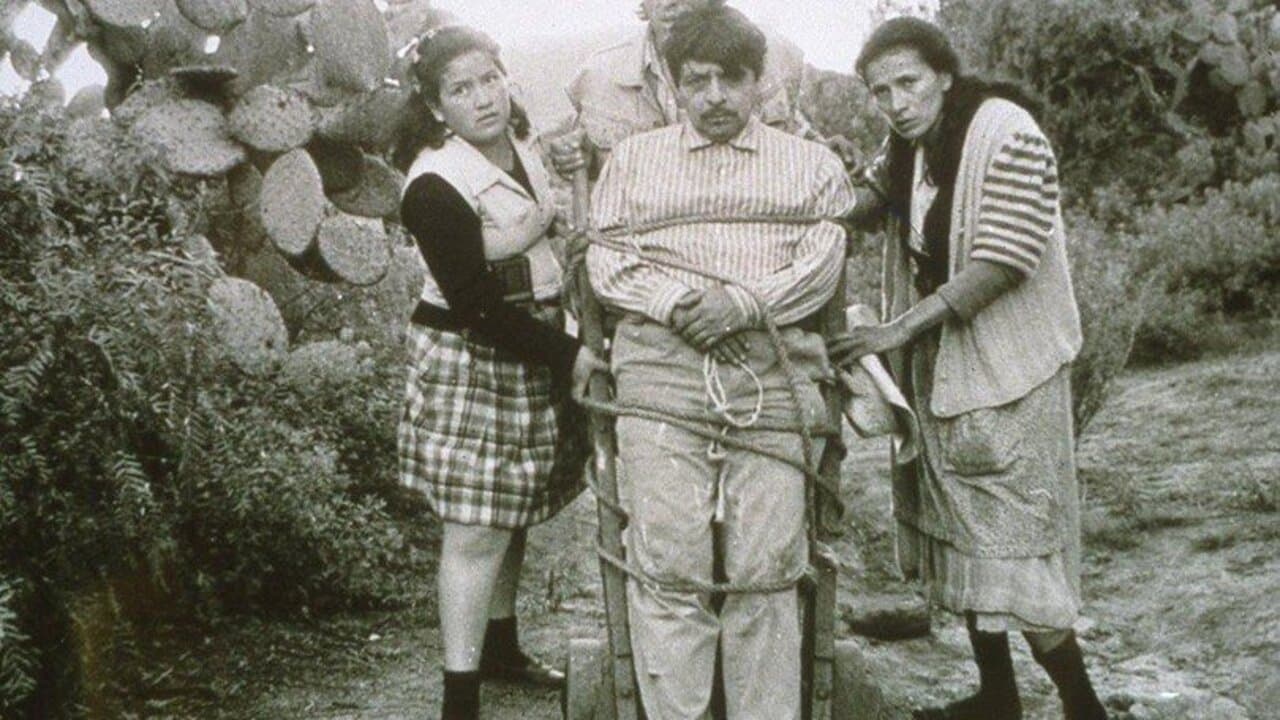 Беда всех мужчин