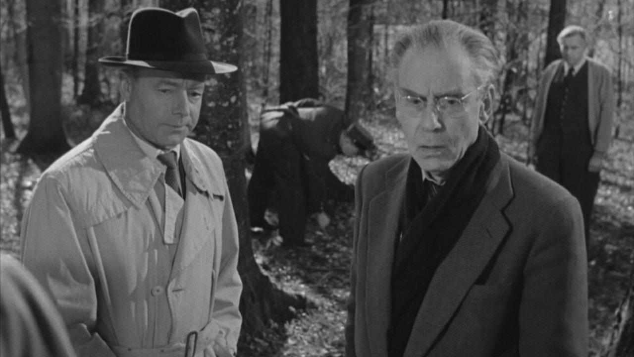 Это случилось при свете дня