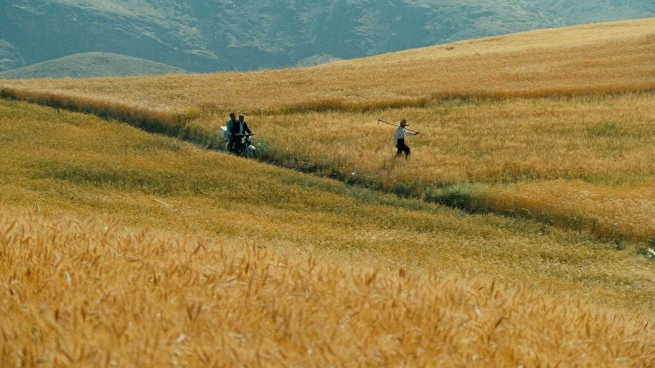 Нас унесет ветер