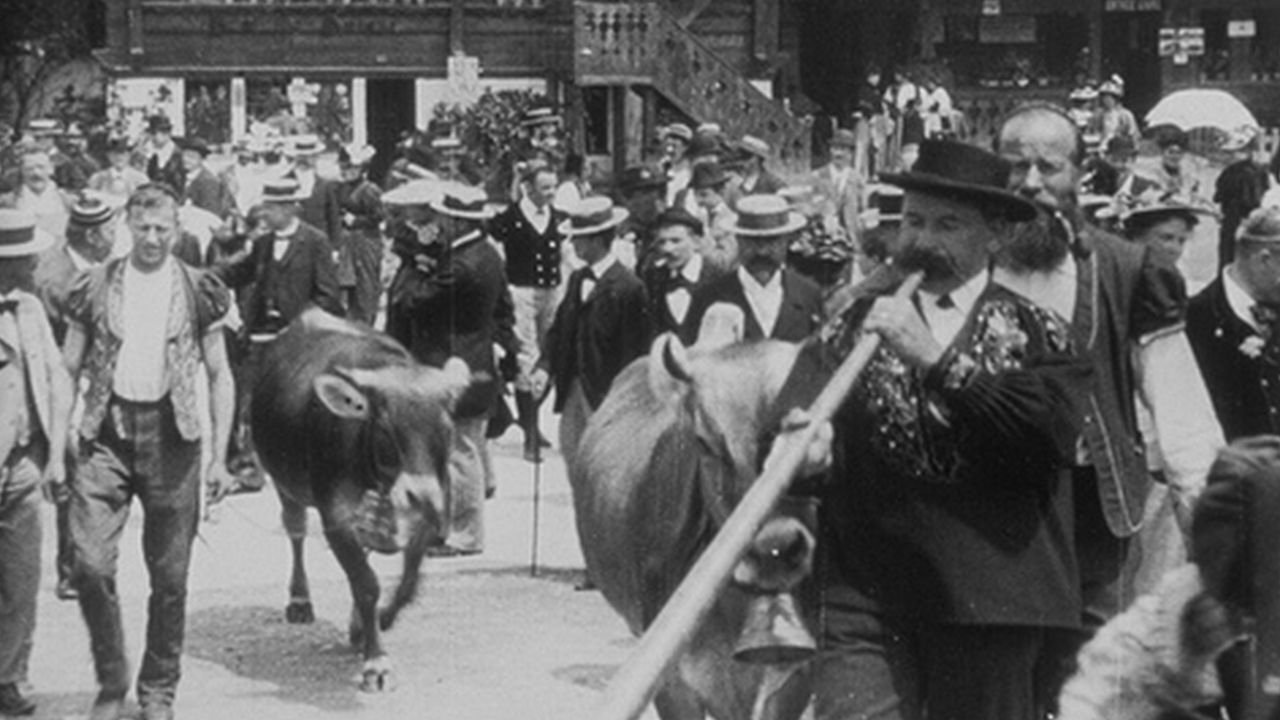 Genève (Exposition 1896): rentrée à l'étable