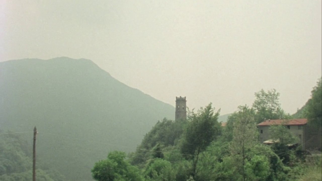 Собаки Фортини