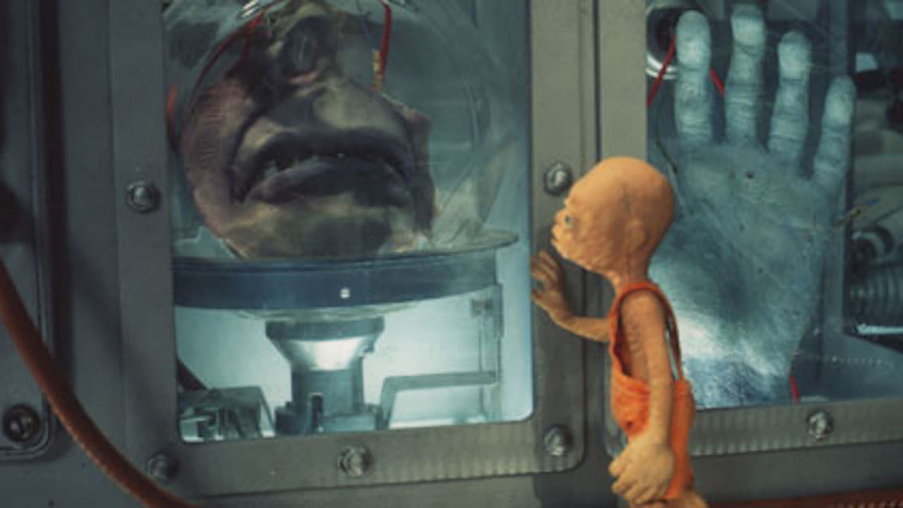 Тайные приключения Тома Тамба