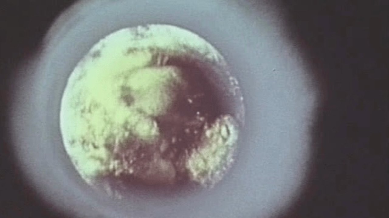 Биосфера! Время осознания