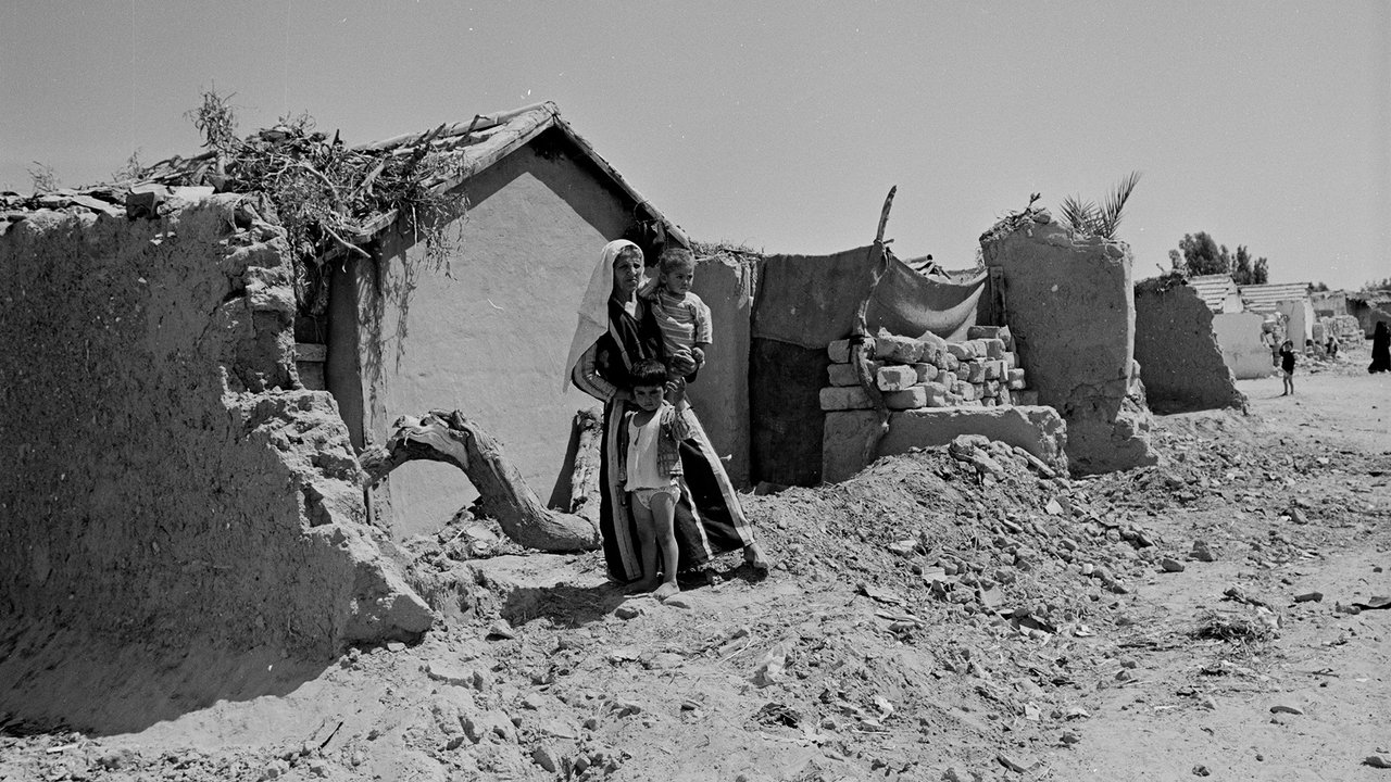 Оккупация 101