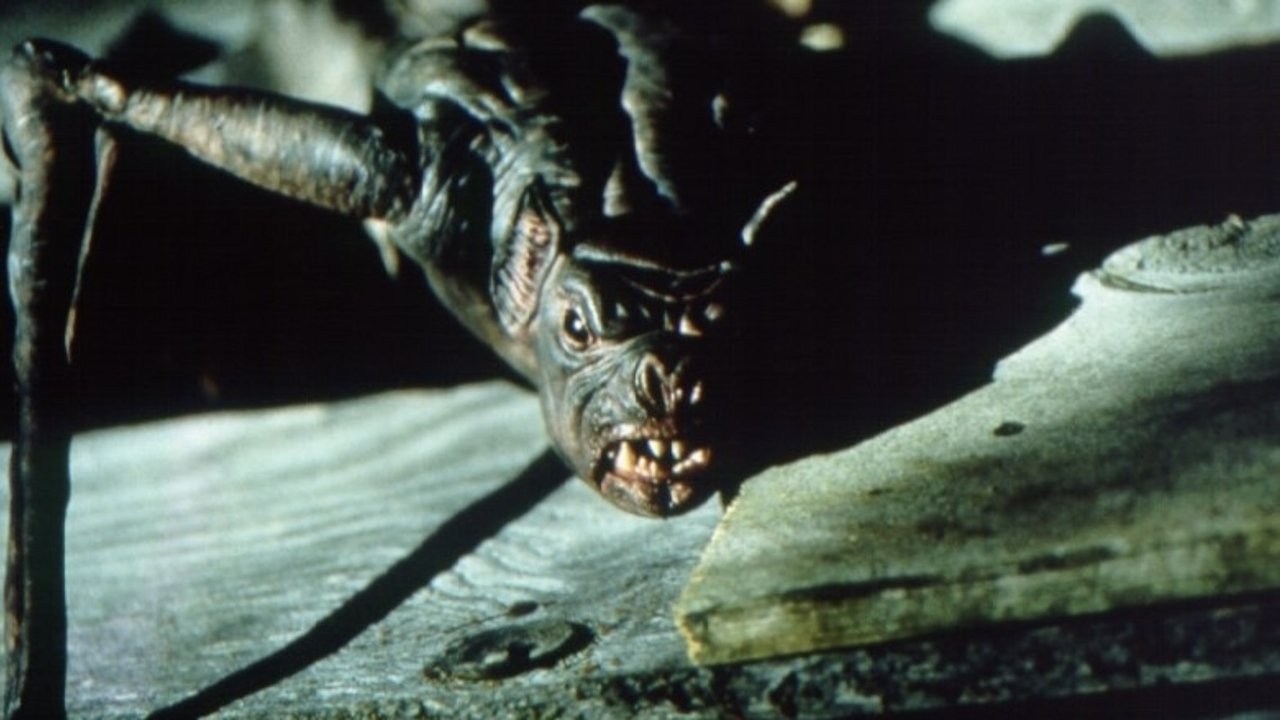 Летучие мыши