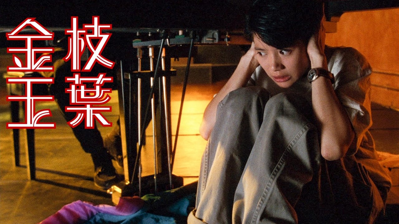 Он женщина, она мужчина