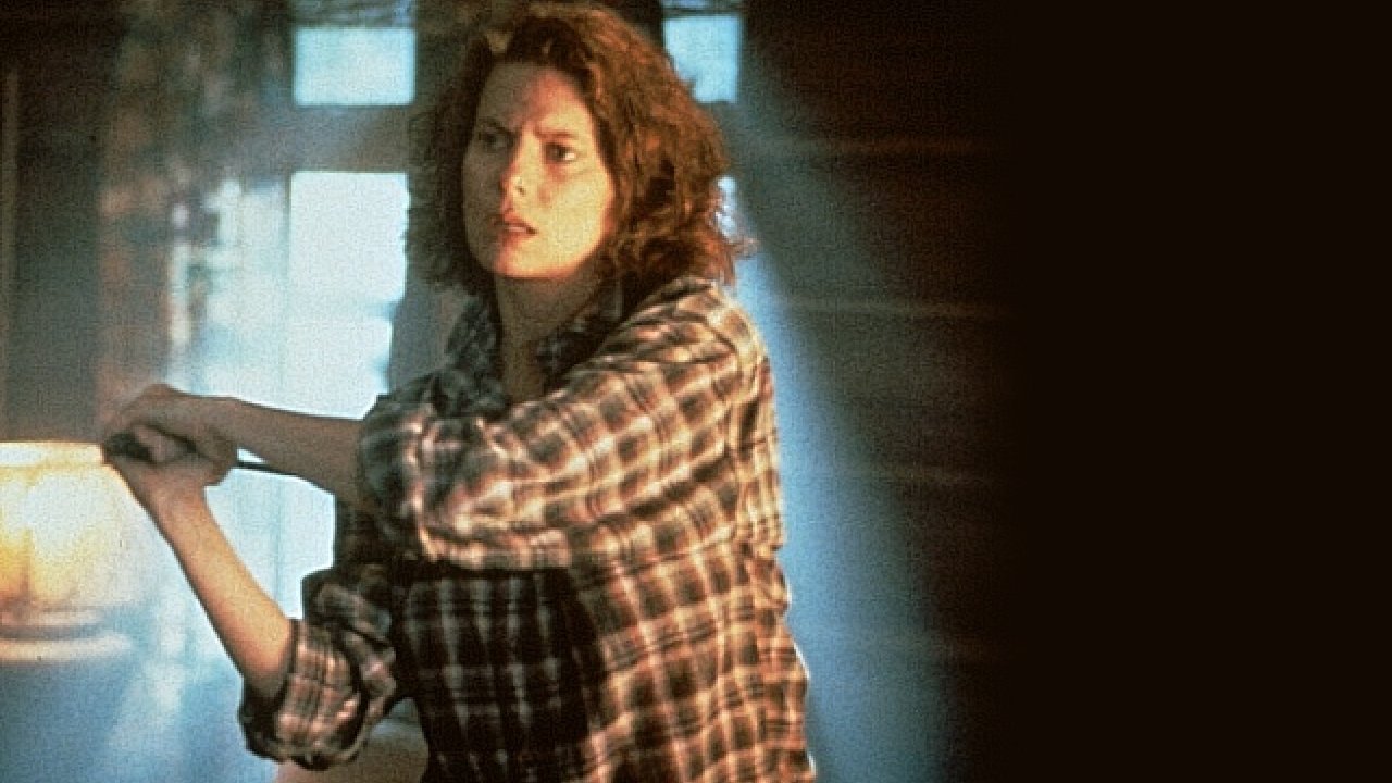 Спутник жизни