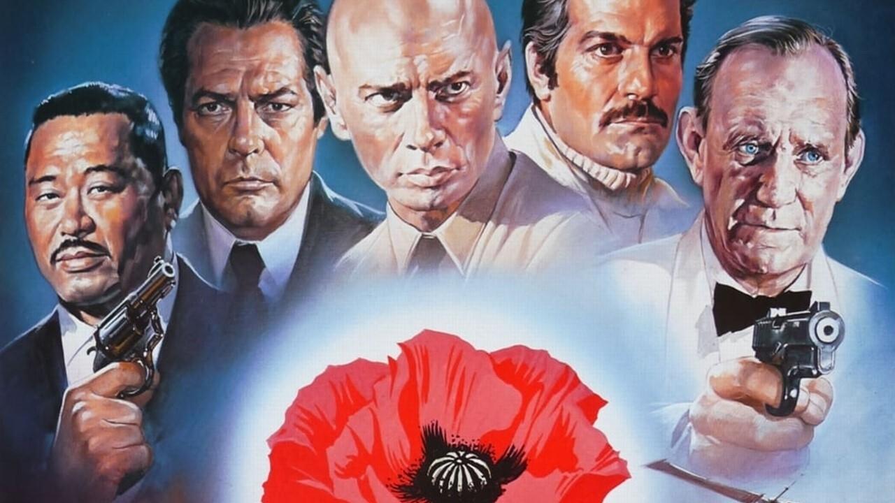 Маки – это тоже цветы