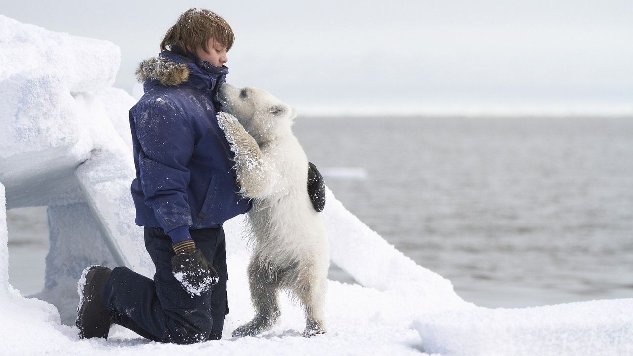 Полуночное солнце