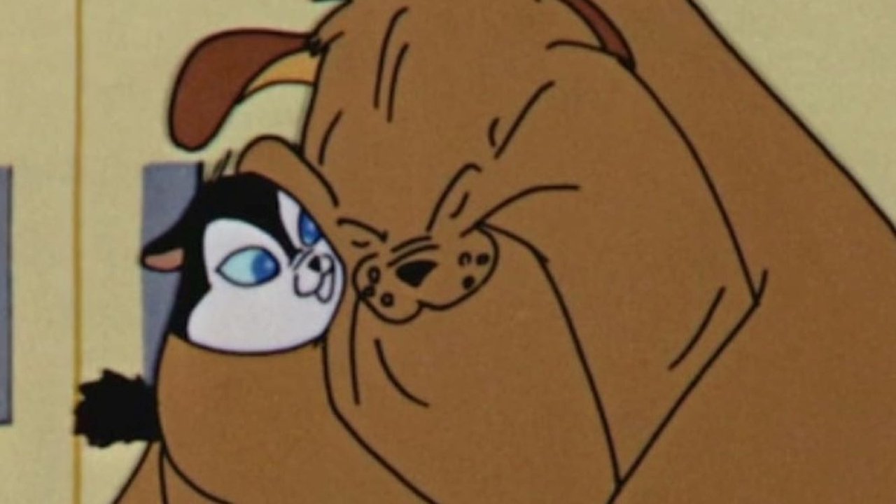 Котенок для друга