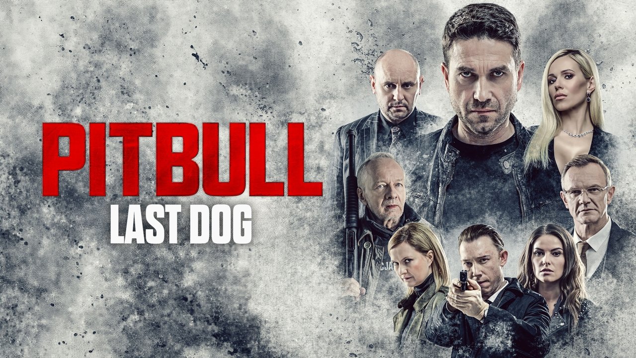 Питбуль. Последний пёс