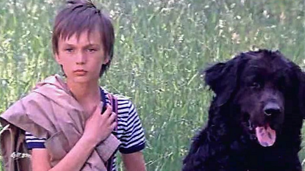 Каждый охотник желает знать...