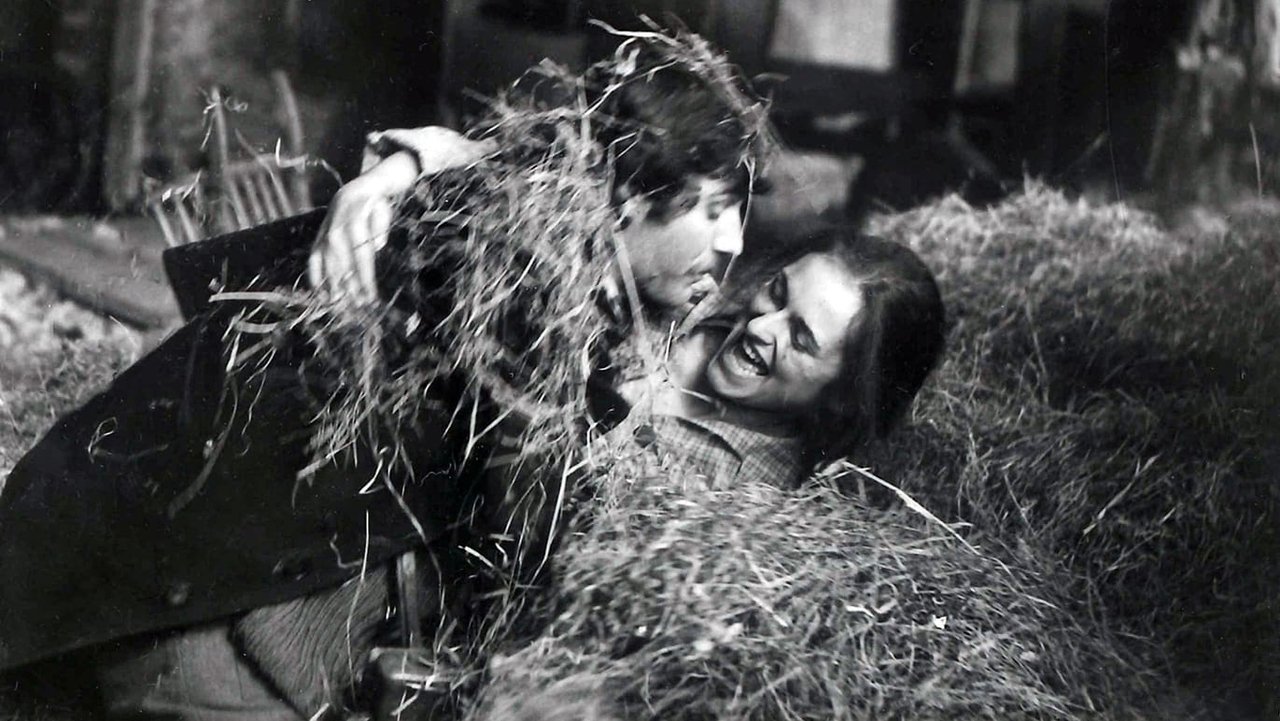 Красные колосья