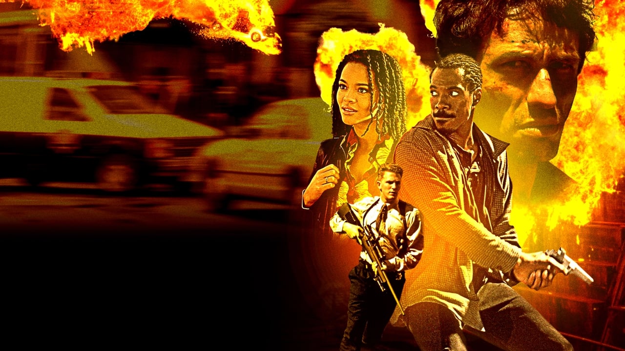 Городская полиция