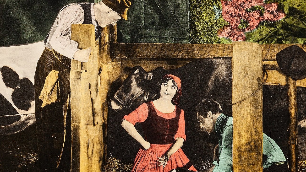 Колючая проволока