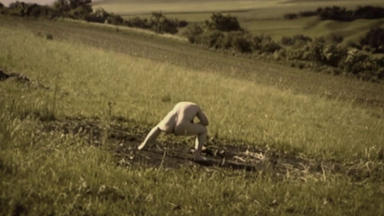 Документальный мусор