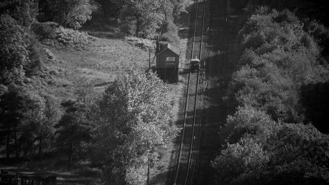 Нежные воспоминания