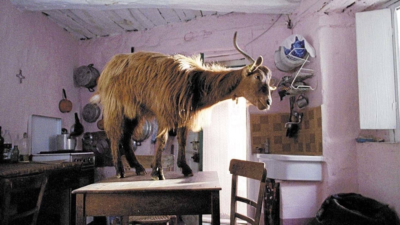 Четырежды