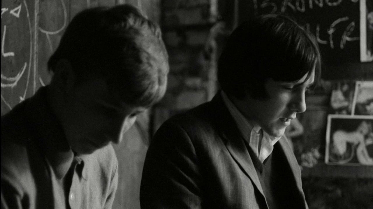 Бронко Буллфрог