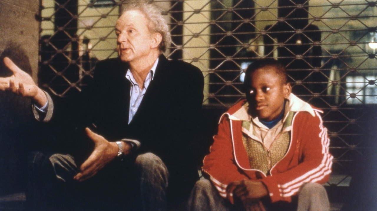 Ночные тени