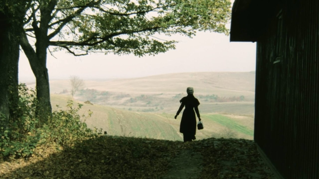 Подарок на именины