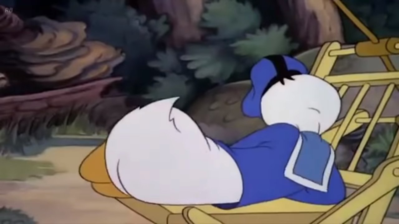 Каникулы Дональда