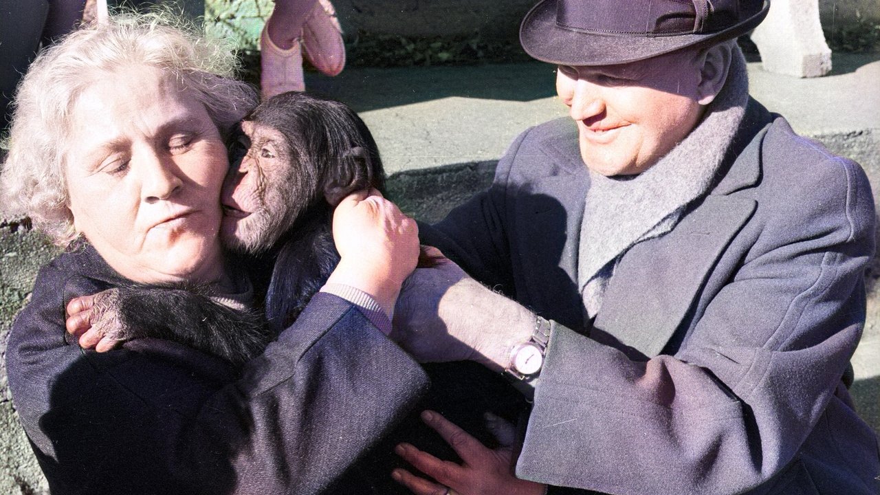 Земля тишины и темноты