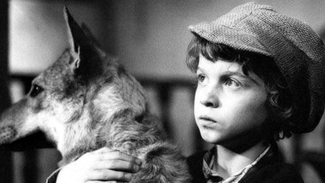 Конопатый Макс и привидения