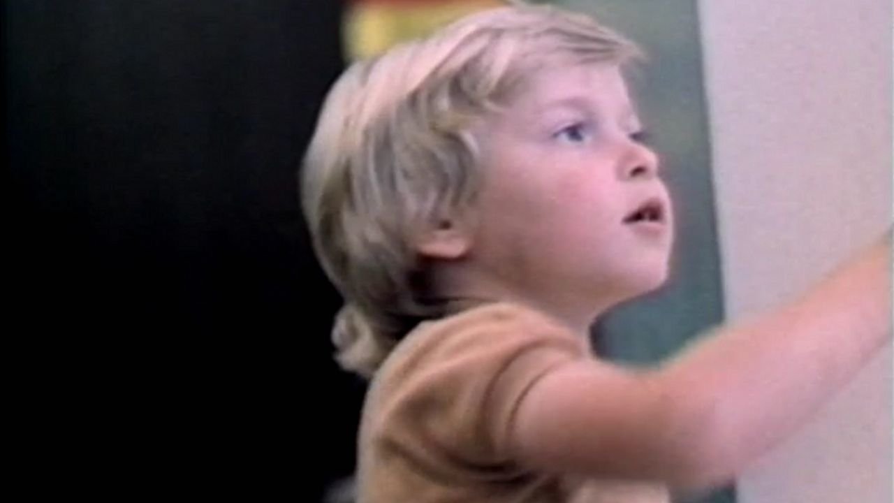 Осторожно – Василек!