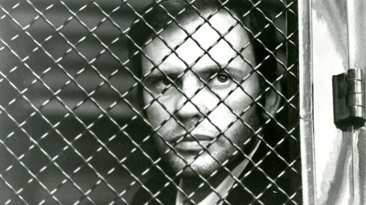 Похититель преступлений