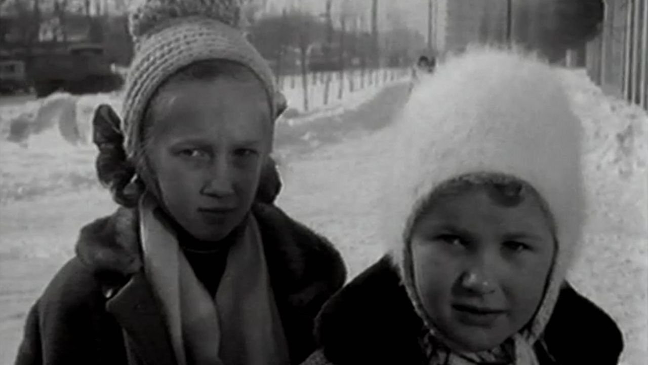 Дай лапу, Друг