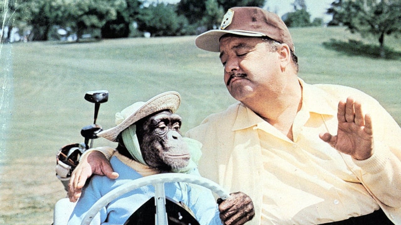 Как вступить в брак