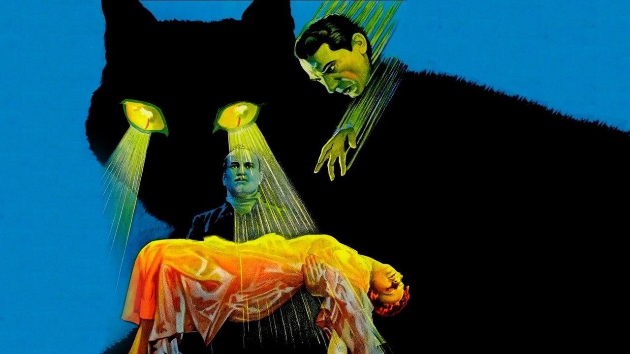 Черный кот
