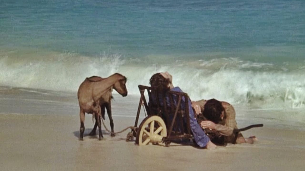 Я поскачу  как бешеный конь