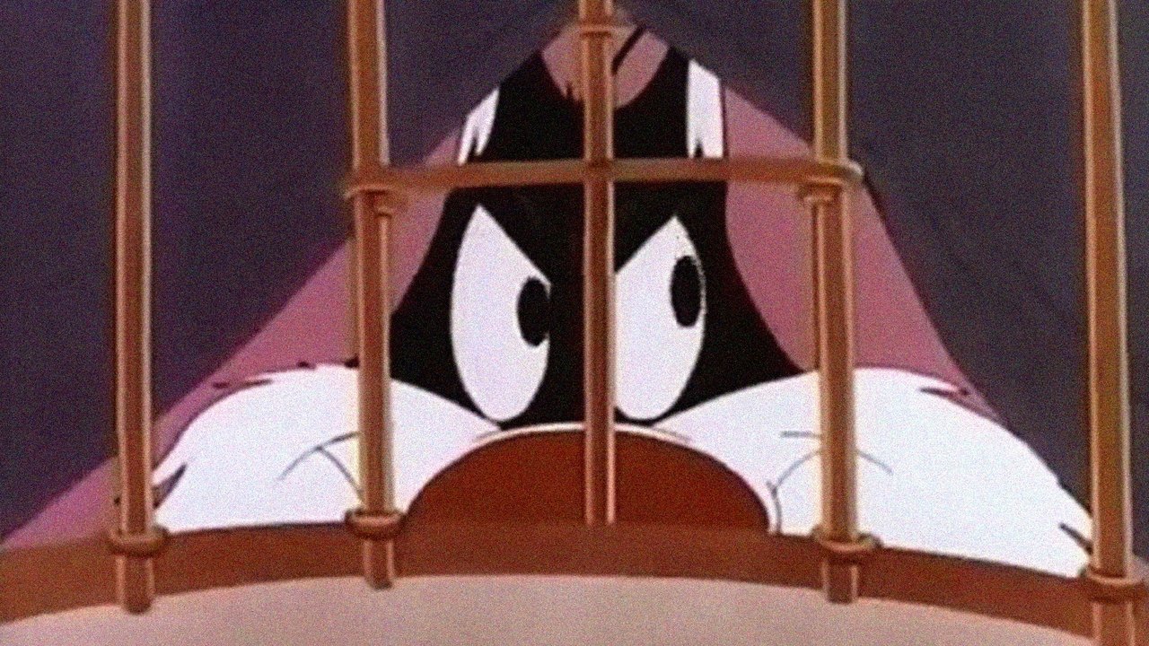 Кажется, я видел котика