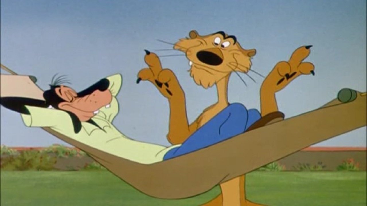 Львы – снизу