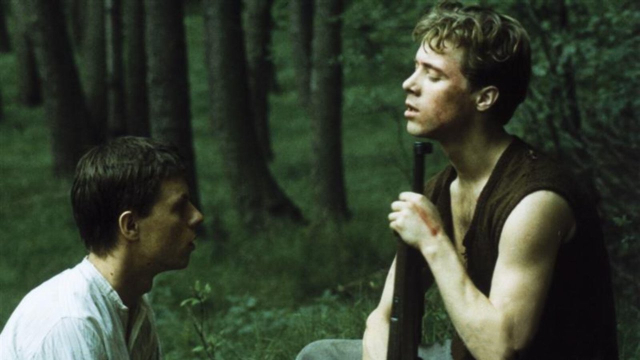 Тень папоротника