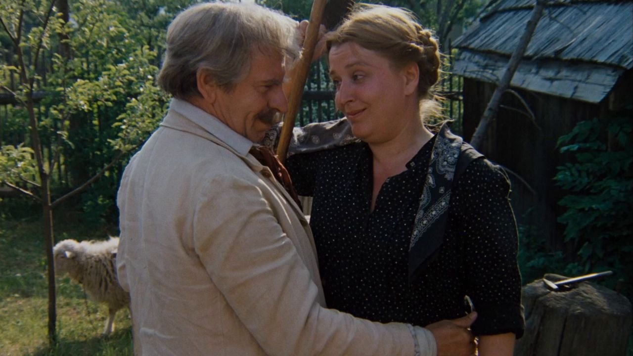 Тысячелетняя пчела