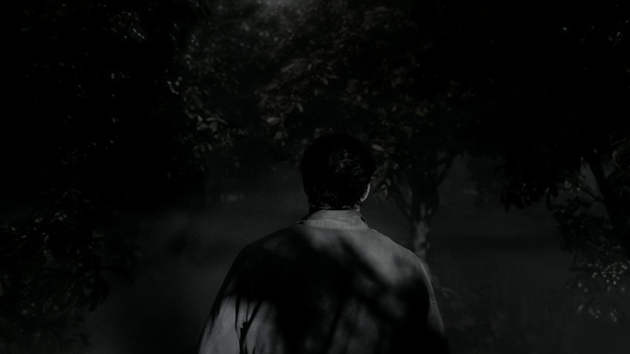 Дорога милосердия