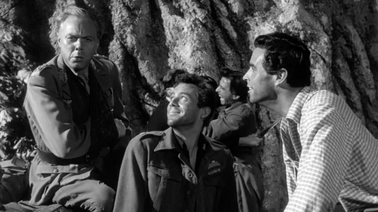 Ночная засада