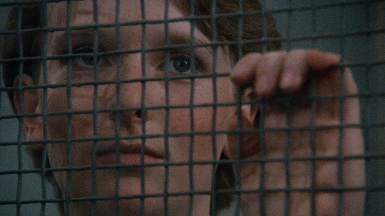 Дневник для моих любимых