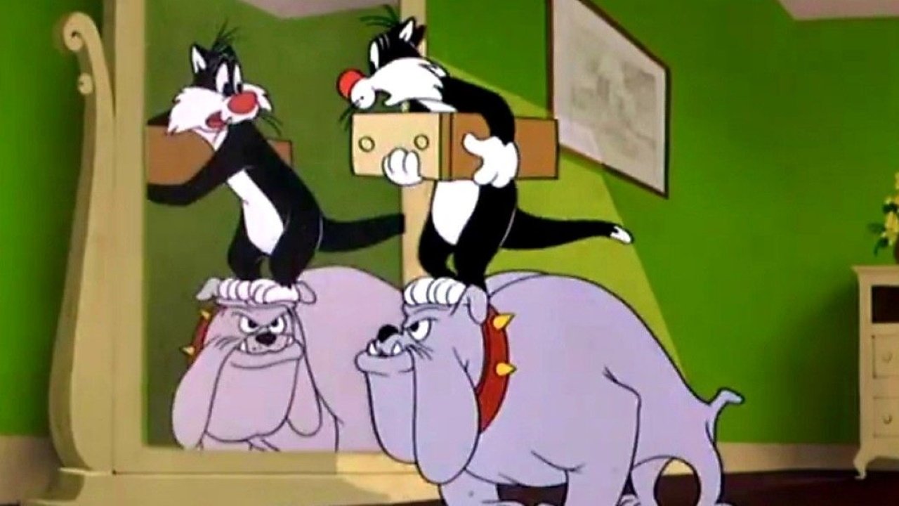 На птичьих правах в гостинице