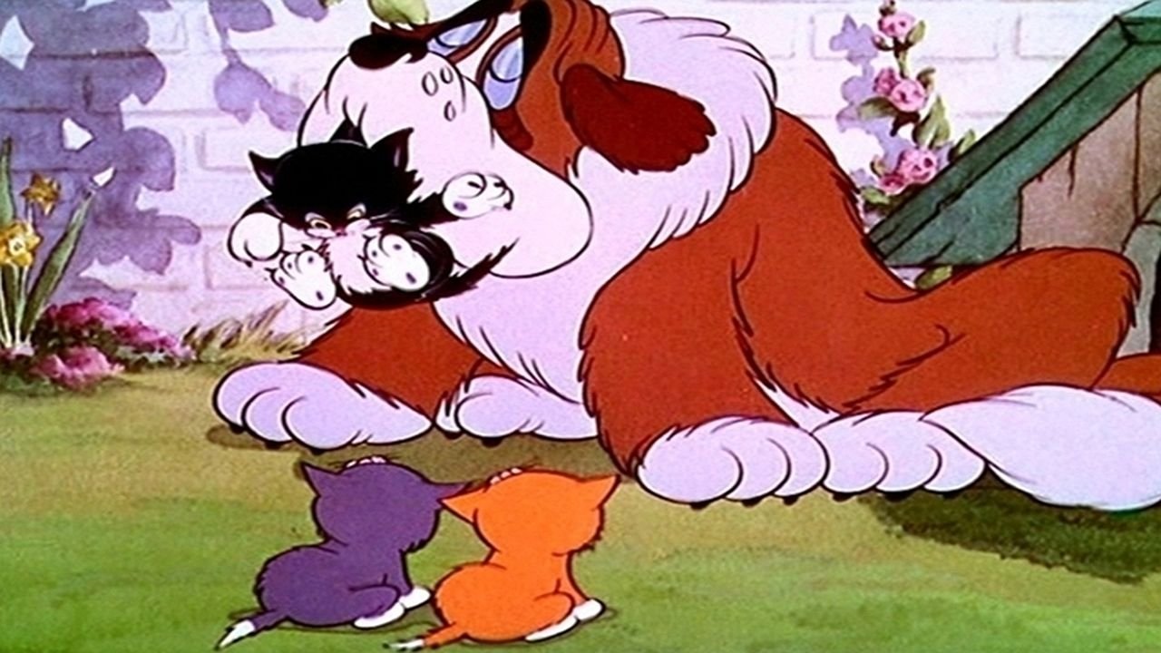 Еще про котят